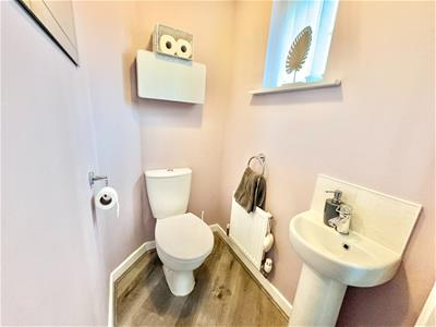 Picture 7